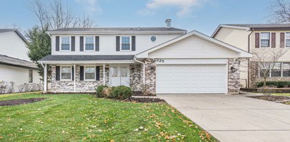 225 Kingsport Drive, Schaumburg