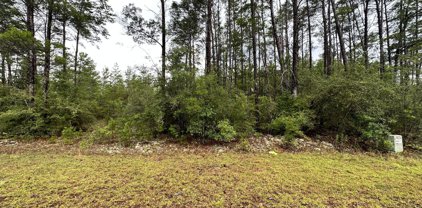 lot 85 Golf Club Circle, Ponce De Leon