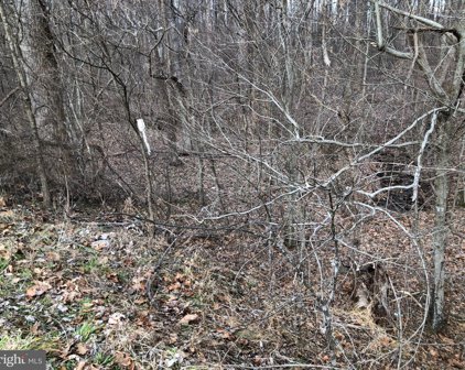Lot 1 Alum Springs, Rixeyville