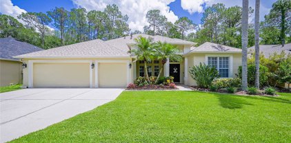 27338 Briarglade Loop, Wesley Chapel