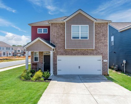 376 Victory Cir, Ashland City