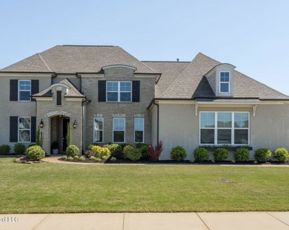 14620 Kenner Pl Drive, Olive Branch