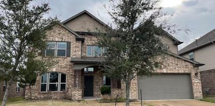 3205 Vintage View Lane, Pearland