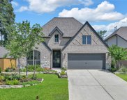 305 Picnic Park Drive, Conroe image