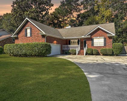 736 Gahagan Road, Summerville