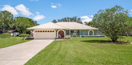 11310 Pine Forest Drive, New Port Richey