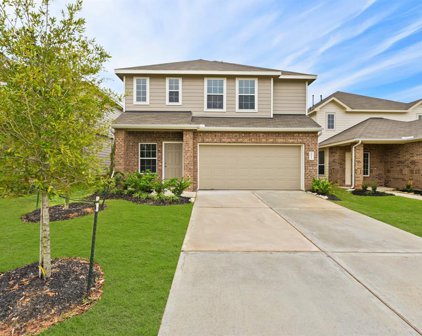 2911 August Mist Court, Conroe