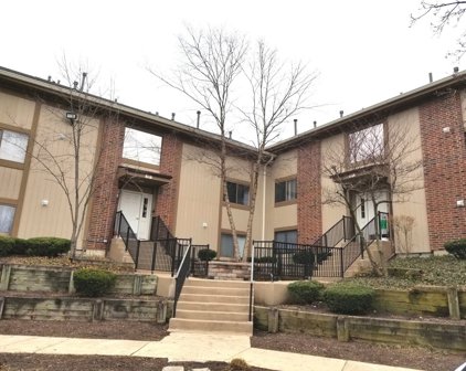395 Wilmington Drive Unit #203E, Bartlett