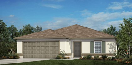 9924 Mesic Woods Avenue, Seffner