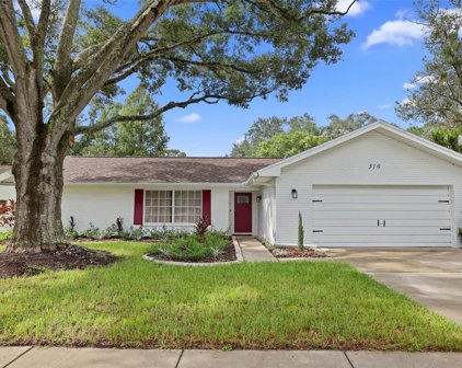 310 Woodland Court, Safety Harbor