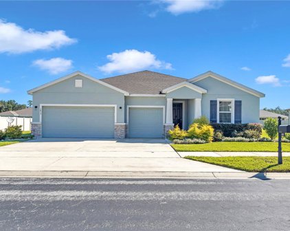 1863 Ne 50th Court, Ocala
