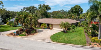 2306 Jones Dr, Dunedin