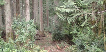 12510 93rd St Court, Anderson Island
