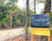 Longboard Loop Loop, Kingston image