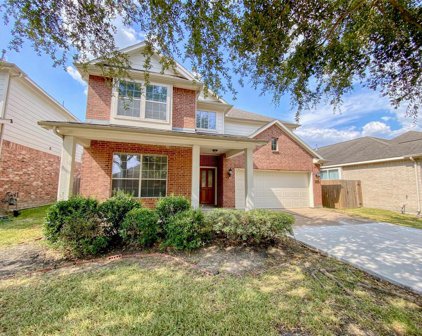 13419 Hickory Springs Lane, Pearland