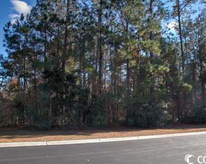 172 Low Country Loop, Murrells Inlet