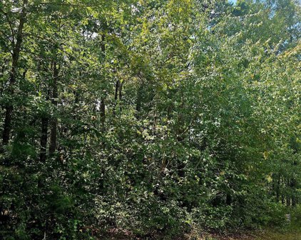 Lot 4 Quail Run, Malvern