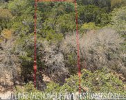 1548 Winding Creek Trail, Spring Branch image
