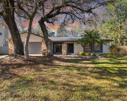 113 Bloomingfield Drive, Brandon