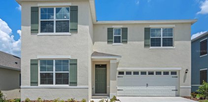 3422 Sabatia Lane, Poinciana