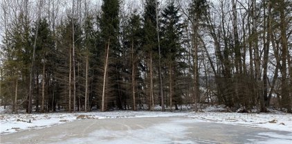 Lot 17 Tanglewood Development, Allegany-Village-042001