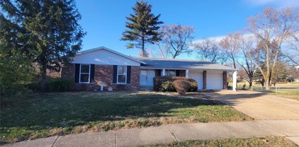 3523 Monsols  Drive, Florissant