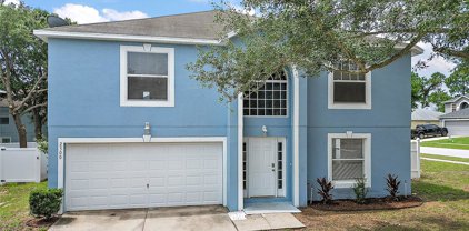 2300 Foxtree Road, Tavares