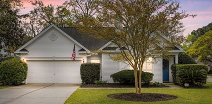 401 Vinca View, Mount Pleasant