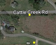 35143 Cattle Creek Road, Hempstead image