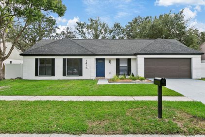 1415 Peachfield Drive, Valrico