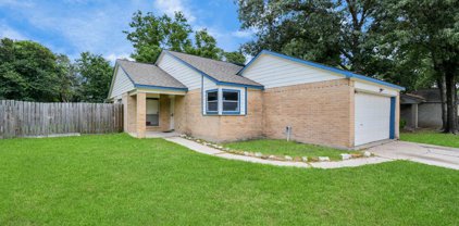 6927 Foxmont Lane, Humble