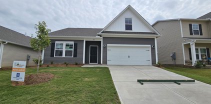 140 Strongridge Trail Unit Lot 241, Simpsonville