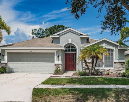 1002 Barclay Wood Drive, Ruskin
