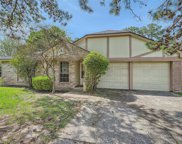 21323 N Tangle Creek Lane, Spring image
