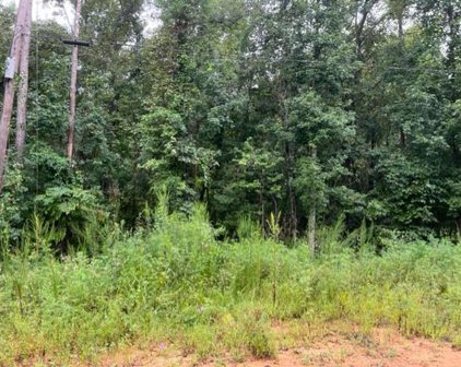 Lakeview Drive, Abbeville