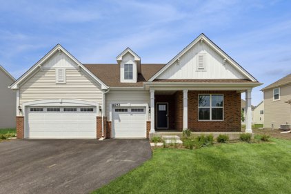 16252 S Longcommon Lane, Plainfield