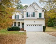 309 Amaryllis, Wake Forest image