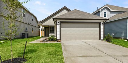 2502 Carp Drive, Conroe