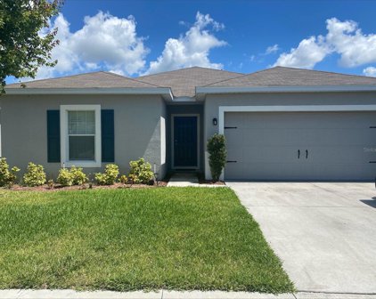 287 Oleander Street, Winter Haven