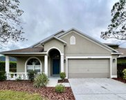 30036 Bermuda Dunes Way, Wesley Chapel image