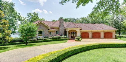 221 Daffodil, Hot Springs
