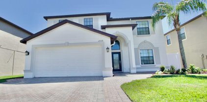 12528 Mountain Springs Place, New Port Richey
