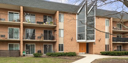 1052 N Mill Street Unit #101, Naperville