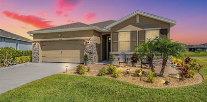 31626 Tansy Bend, Wesley Chapel