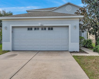4311 Old Waverly Court, Wesley Chapel