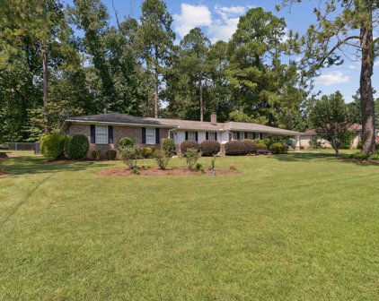 105 LAKE BLUFF Drive, Waynesboro