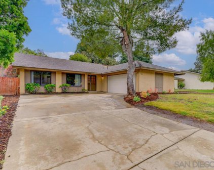 1349 Pleasant Hill St, Escondido