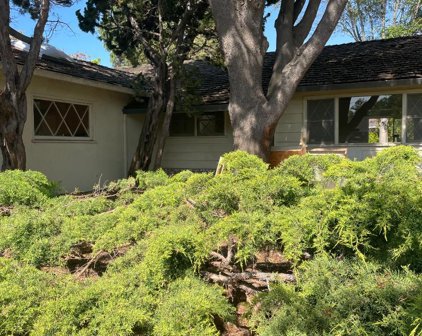 1514 Gambier CT, Sunnyvale