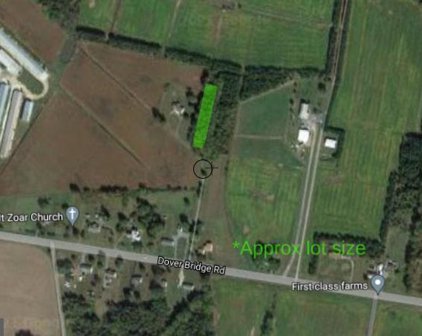 Parcel 210 Dover Bridge Rd Preston, Md 21655, Preston