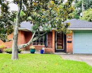 1411 Stonecrest Drive, Houston image